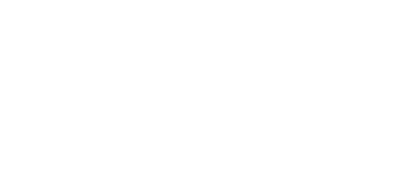 Bigleaf Logo - white
