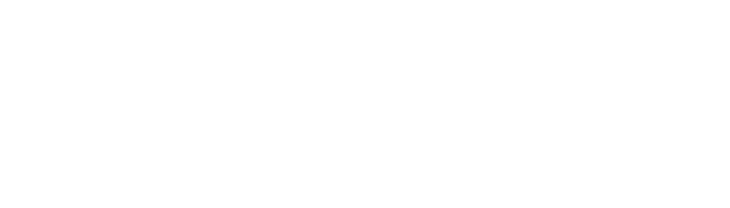 CT-Logo-white (1)